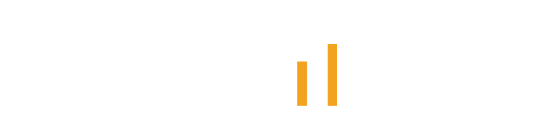 NetPulse Network Monitoring Logo