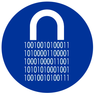IT/Data Security Icon