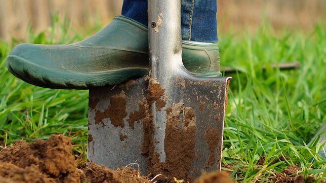 Safe Digging!