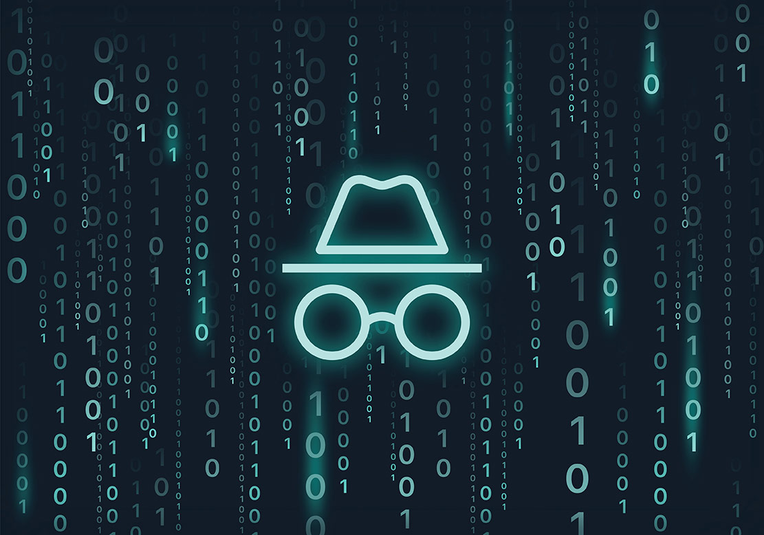 The Incognito System - Privacy and Security Concerns