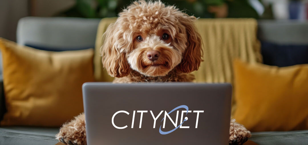 Smart Home Tech for Your Pets