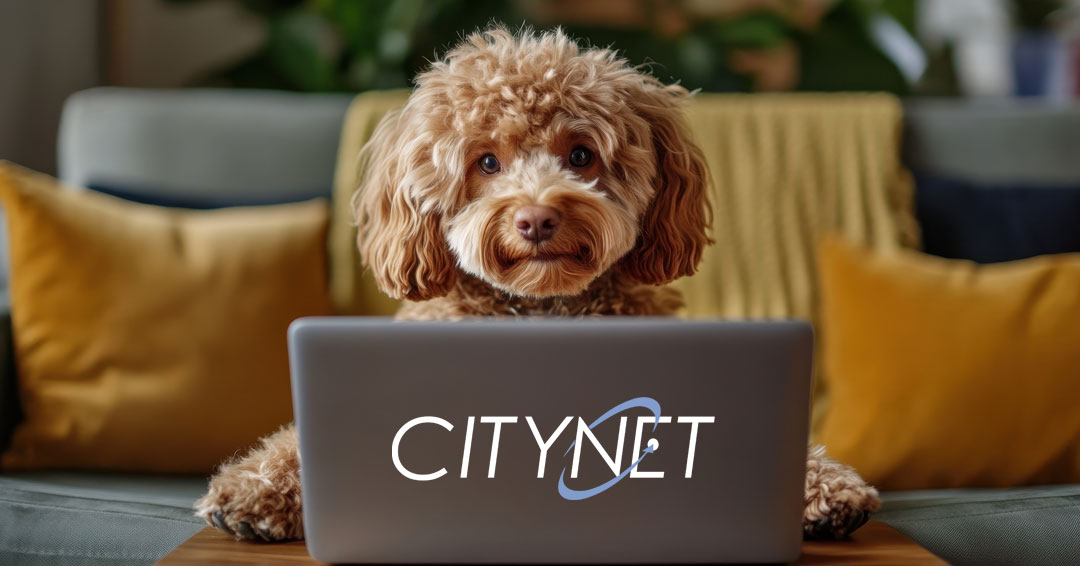 Dog With Citynet Laptop Image