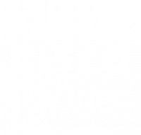 Citynet/Cisco Premier Partner Logo
